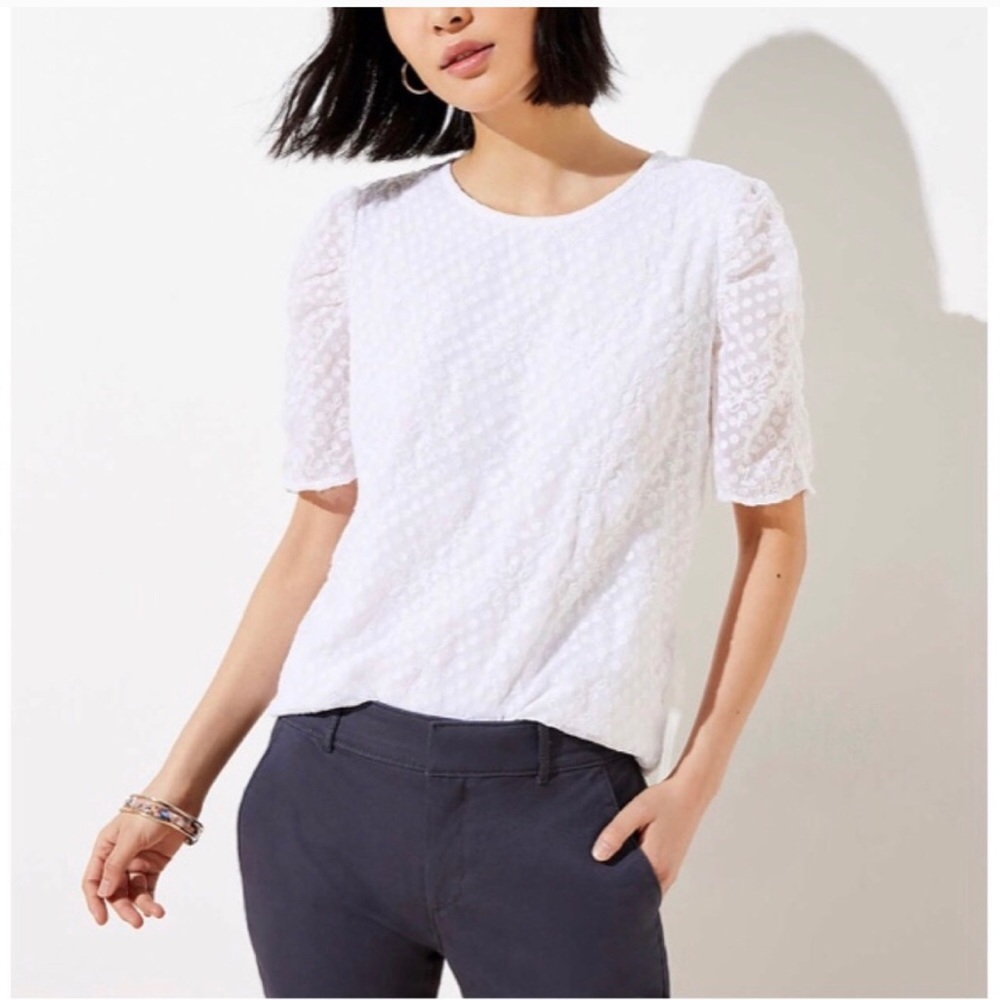 NWOT Loft Small Petite White Short-Sleeve Top